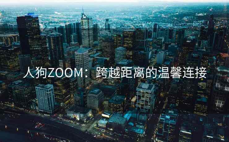 人狗ZOOM：跨越距离的温馨连接