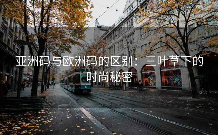 亚洲码与欧洲码的区别：三叶草下的时尚秘密