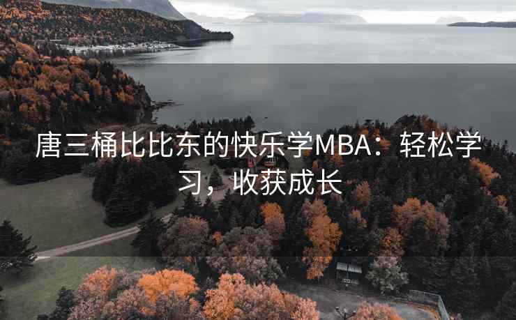 唐三桶比比东的快乐学MBA：轻松学习，收获成长